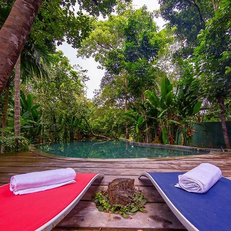 Wild Nest Villa Unawatuna Dış mekan fotoğraf