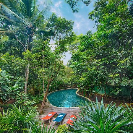 Wild Nest Villa Unawatuna Dış mekan fotoğraf